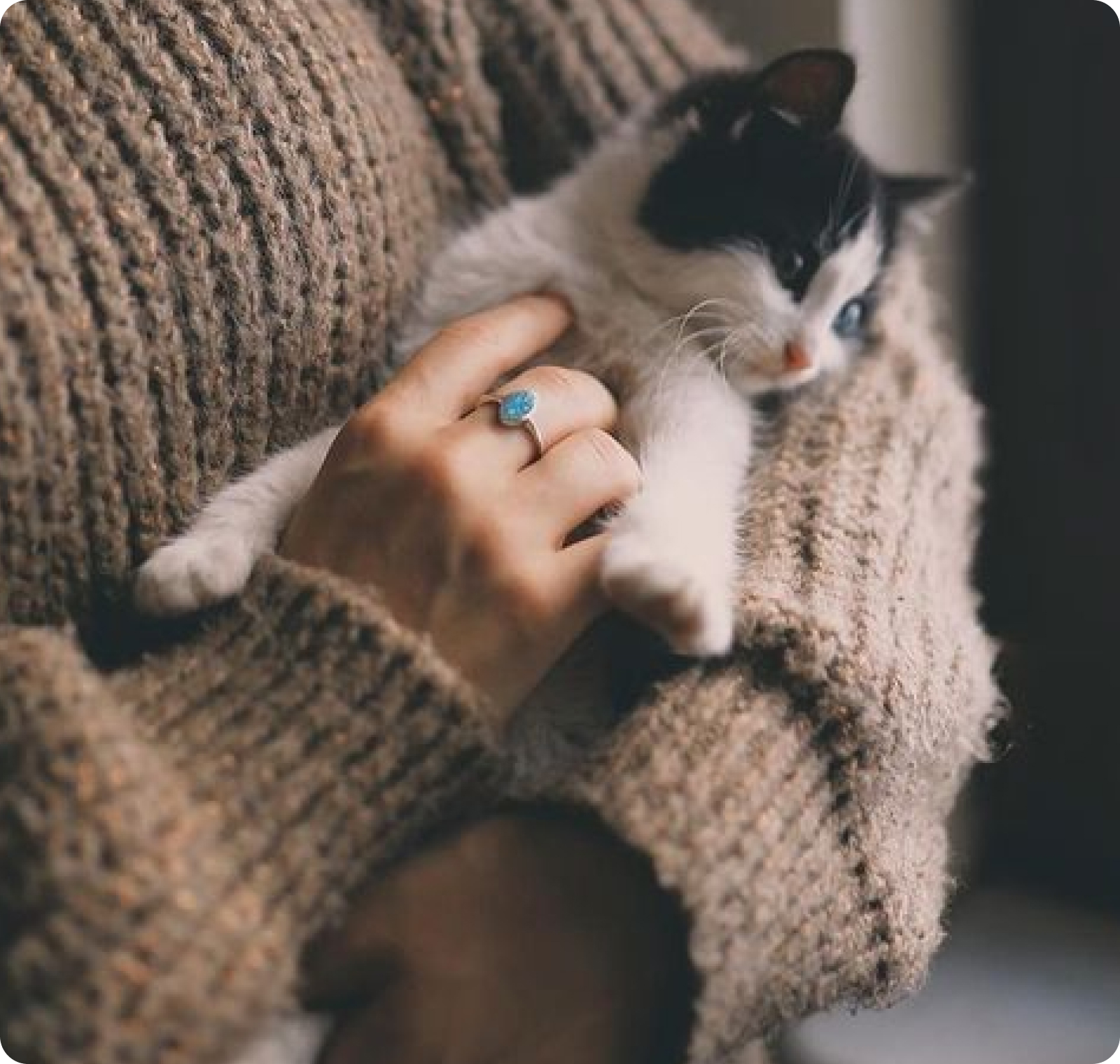 A woman snuggling a cat